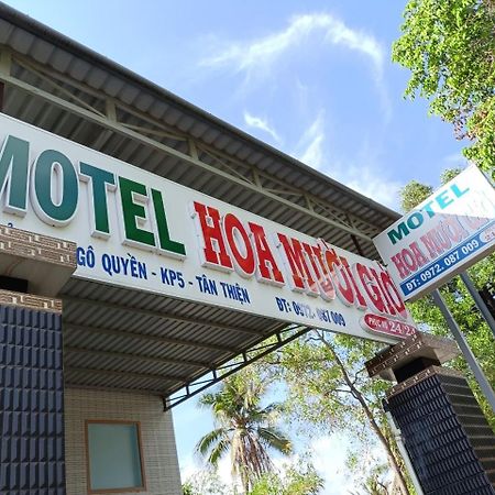 Hotel Nha Nghi Hoa Muoi Gio Tan Tao Exteriér fotografie